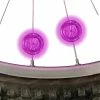 Best Sale 👍 Mon Ster Pink Mini LED Spoke Lights For Bikes & Scooters ⭐